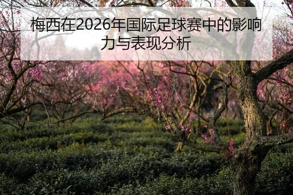 梅西在2026年国际足球赛中的影响力与表现分析