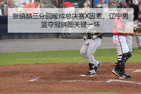 zhang-zhen-lin-san-fen-hui-nuan-cheng-zong-jue-sai-yin-su-liao-ning-nan-lan-duo-guan-pin-tu-guan-jian-yi-huan-2-501.jpg